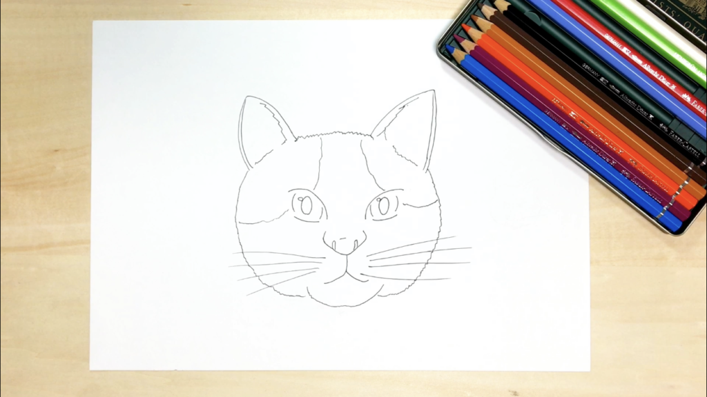 猫の簡単な手描きイラストの描き方 水彩色鉛筆とペン アートと日常