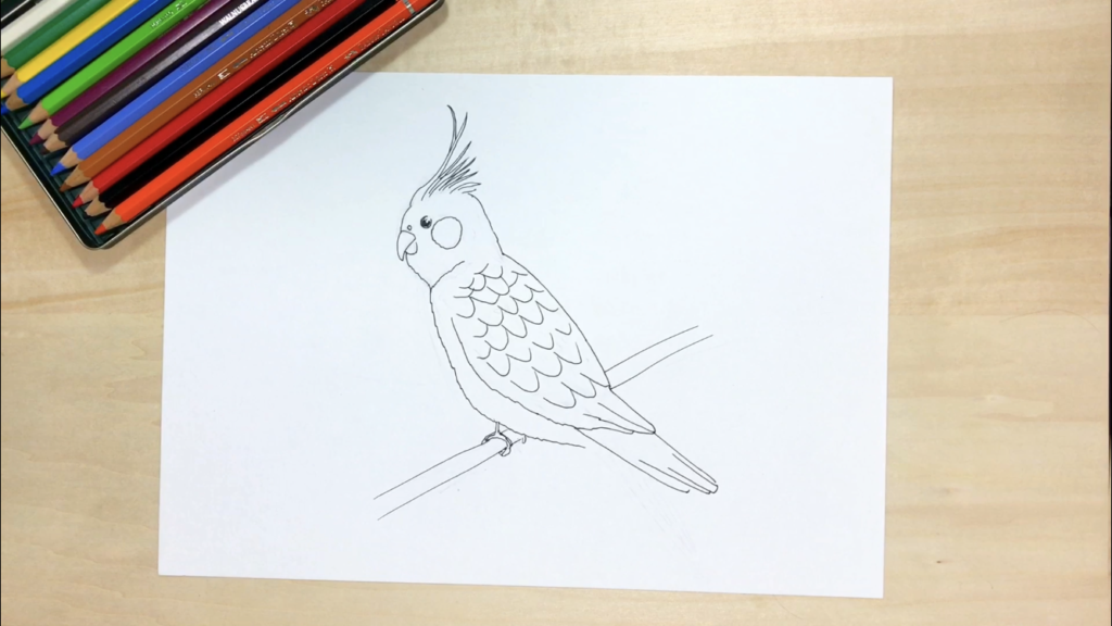 鳥の簡単な手書きイラストの描き方 スズメ カラス フクロウ インコ アートと日常