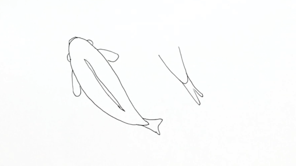 鯉の簡単な手書きイラストの描き方 水彩色鉛筆とペン アートと日常