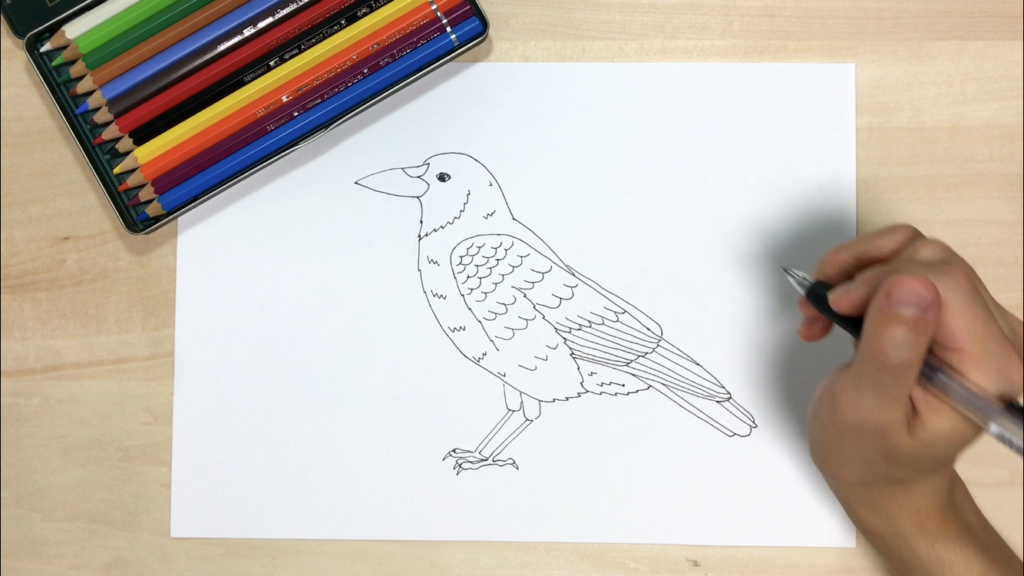 鳥の簡単な手書きイラストの描き方 スズメ カラス フクロウ インコ アートと日常