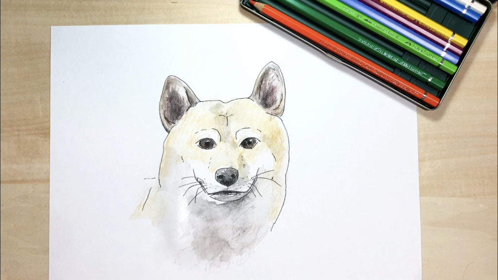 犬の簡単な手書きイラストの描き方 水彩色鉛筆とペン アートと日常