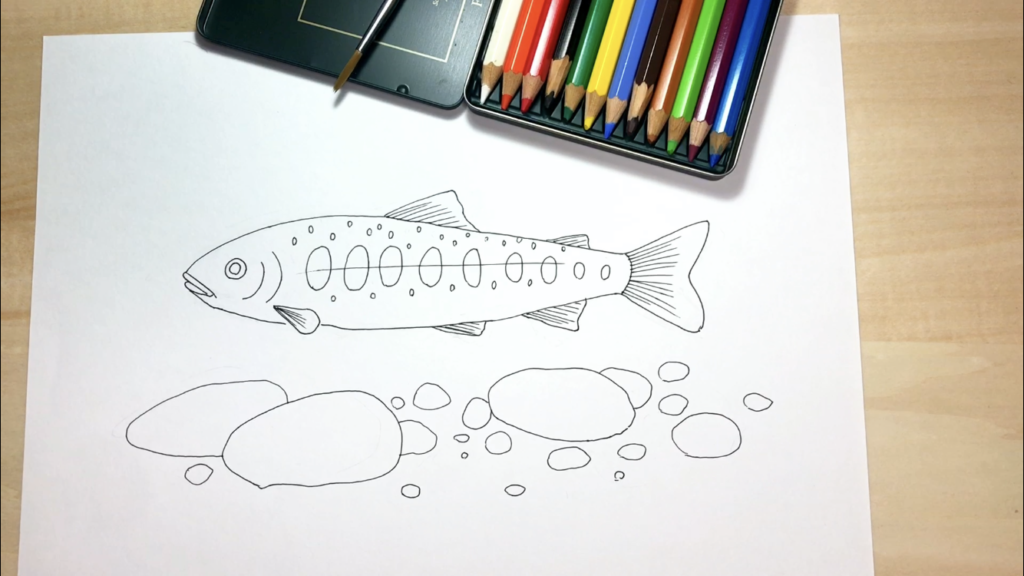 鯉の簡単な手書きイラストの描き方 水彩色鉛筆とペン アートと日常