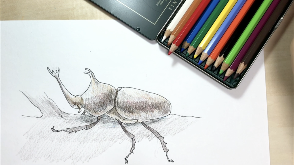 カブトムシの簡単な手書きイラストの描き方 水彩色鉛筆とペン アートと日常