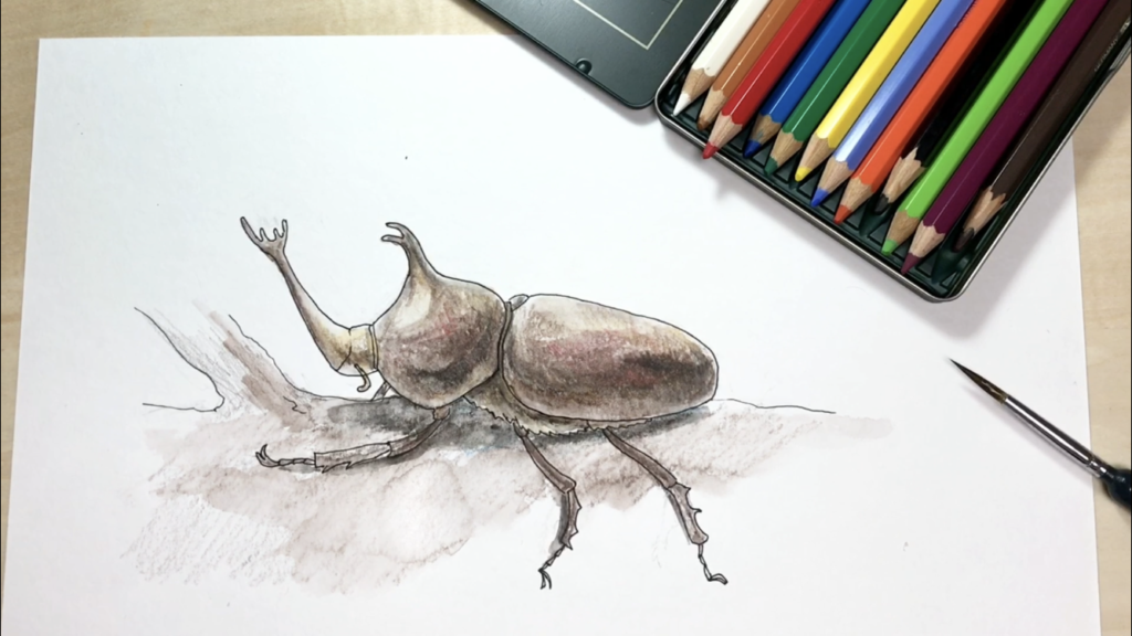 カブトムシの簡単な手書きイラストの描き方 水彩色鉛筆とペン アートと日常