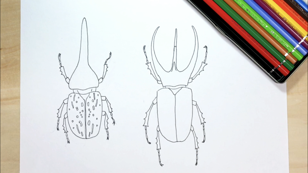 カブトムシの簡単な手書きイラストの描き方 水彩色鉛筆とペン アートと日常