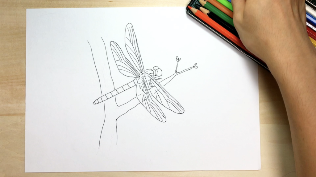 トンボの簡単な手書きイラストの描き方 水彩色鉛筆とペン アートと日常