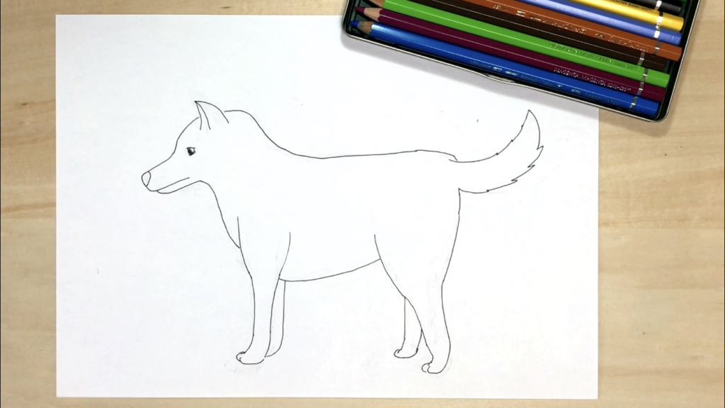 自筆の水彩色鉛筆画です 我が家の柴犬を描きました題して その寝方しんどくない