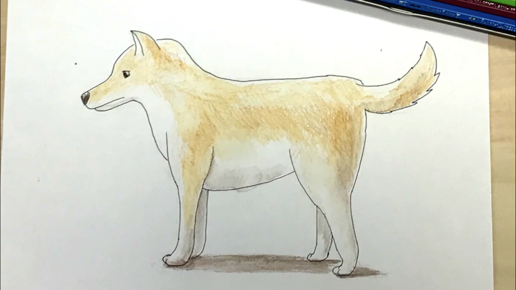犬の簡単な手書きイラストの描き方 水彩色鉛筆とペン アートと日常