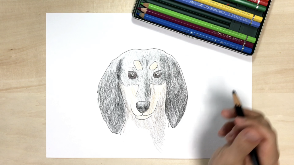 犬の簡単な手書きイラストの描き方！【水彩色鉛筆とペン】 | アートと日常