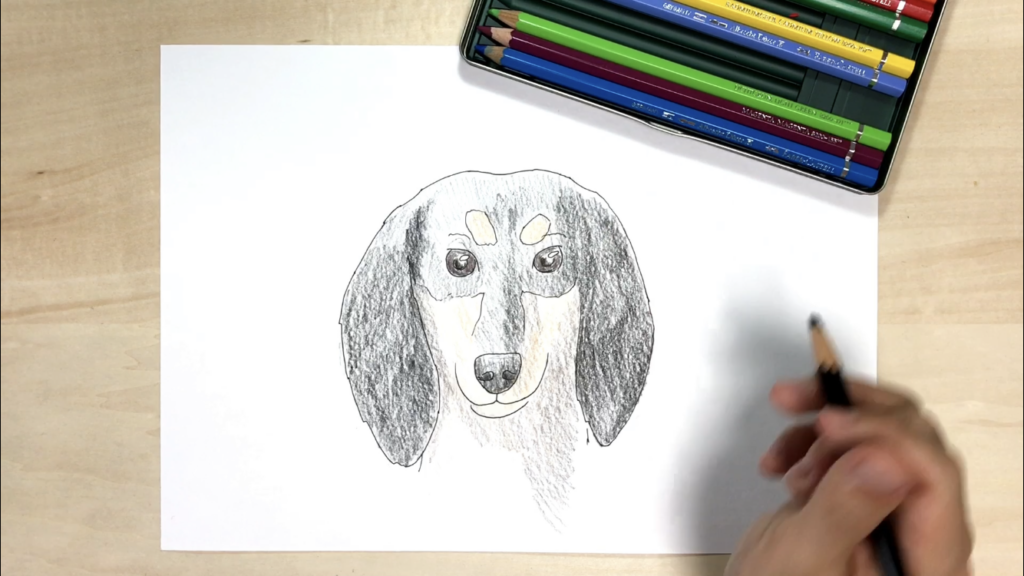 犬の簡単な手書きイラストの描き方 水彩色鉛筆とペン アートと日常